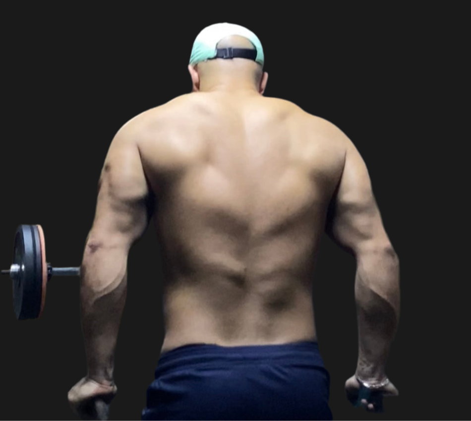 12 week program with minimal equipments